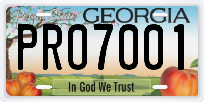 GA license plate PRO7001