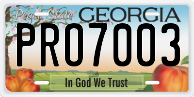 GA license plate PRO7003