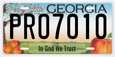 GA license plate PRO7010