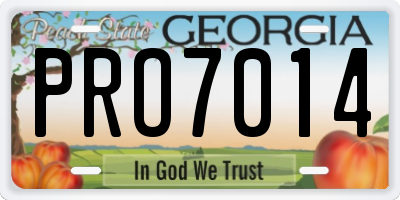 GA license plate PRO7014