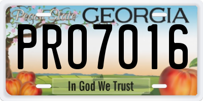 GA license plate PRO7016