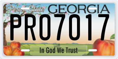 GA license plate PRO7017