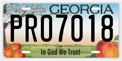 GA license plate PRO7018