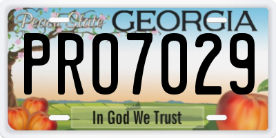 GA license plate PRO7029