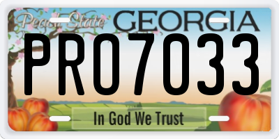 GA license plate PRO7033