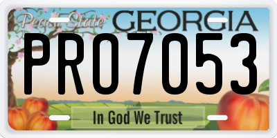 GA license plate PRO7053