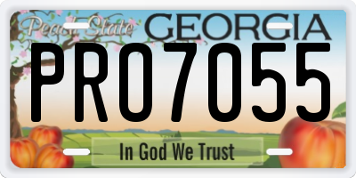 GA license plate PRO7055