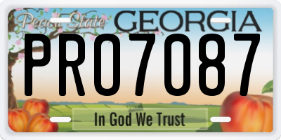 GA license plate PRO7087