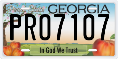 GA license plate PRO7107