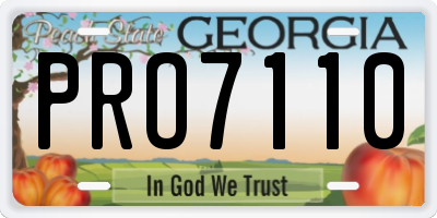 GA license plate PRO7110