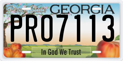 GA license plate PRO7113
