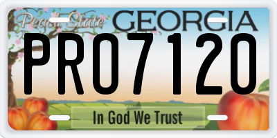 GA license plate PRO7120