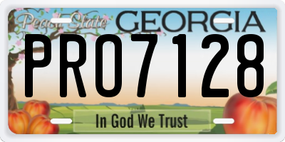 GA license plate PRO7128