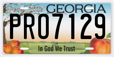 GA license plate PRO7129