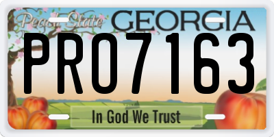 GA license plate PRO7163