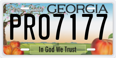 GA license plate PRO7177