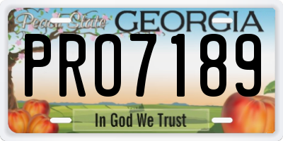 GA license plate PRO7189