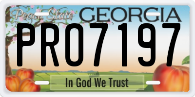 GA license plate PRO7197