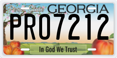 GA license plate PRO7212