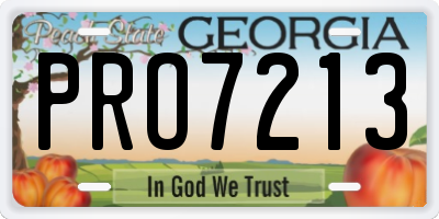 GA license plate PRO7213