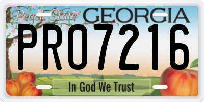 GA license plate PRO7216