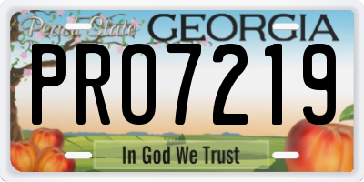 GA license plate PRO7219