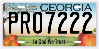 GA license plate PRO7222