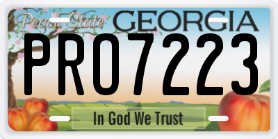 GA license plate PRO7223