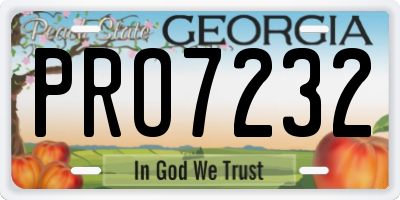 GA license plate PRO7232