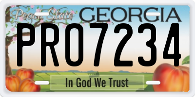 GA license plate PRO7234