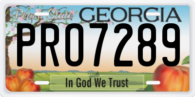 GA license plate PRO7289