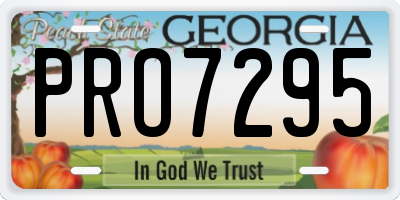 GA license plate PRO7295