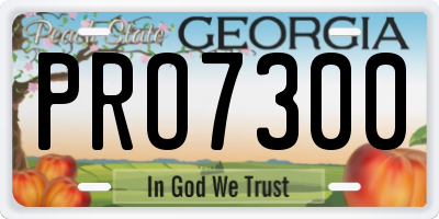 GA license plate PRO7300