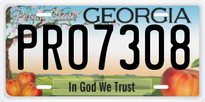 GA license plate PRO7308