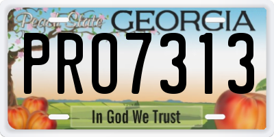 GA license plate PRO7313