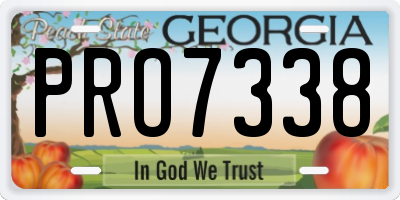 GA license plate PRO7338