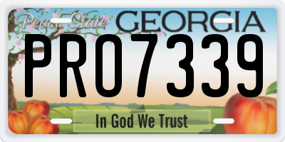 GA license plate PRO7339