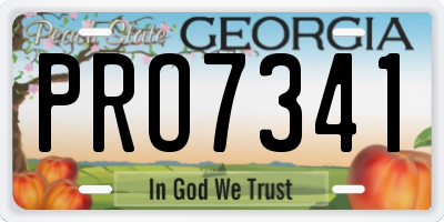 GA license plate PRO7341