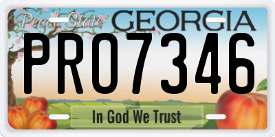 GA license plate PRO7346