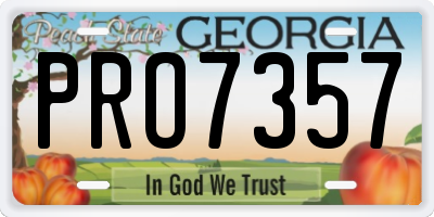 GA license plate PRO7357