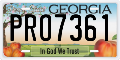 GA license plate PRO7361