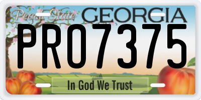 GA license plate PRO7375