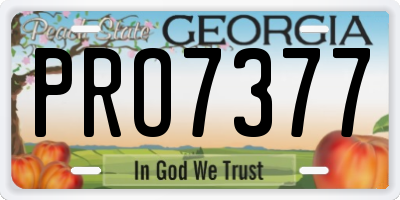 GA license plate PRO7377