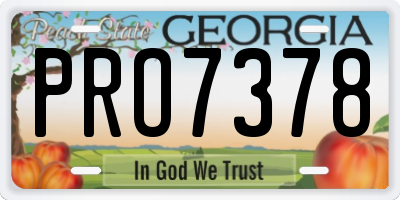 GA license plate PRO7378