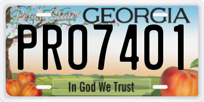 GA license plate PRO7401