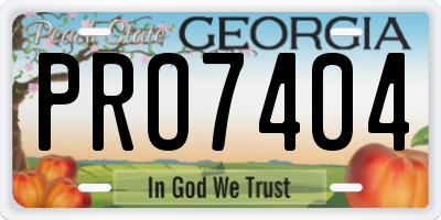GA license plate PRO7404