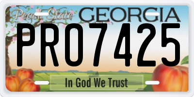 GA license plate PRO7425