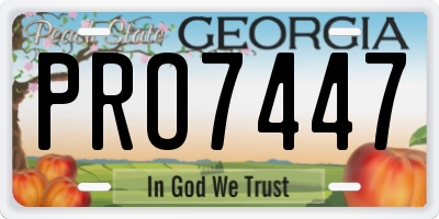 GA license plate PRO7447