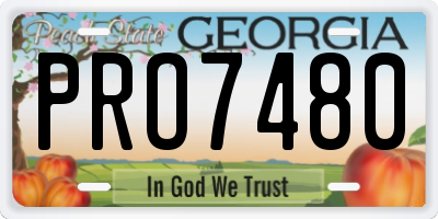 GA license plate PRO7480