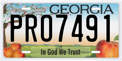 GA license plate PRO7491